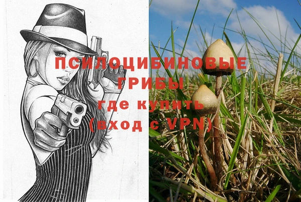 mdpv Зерноград