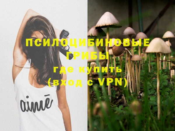 мяу мяу мука Зеленокумск