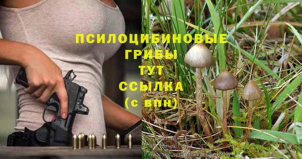героин Инсар