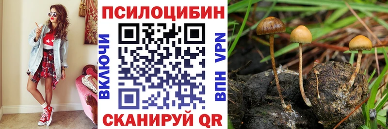 Псилоцибиновые грибы GOLDEN TEACHER  Купить  Духовщина 